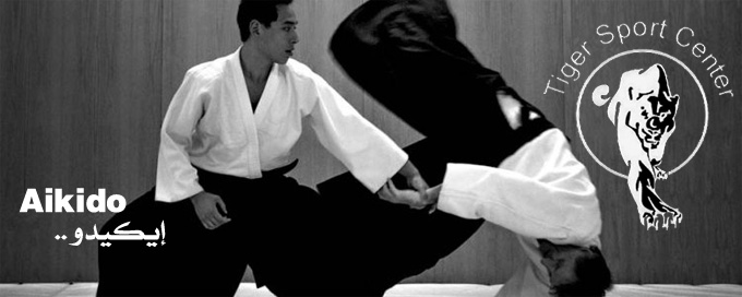 aikido